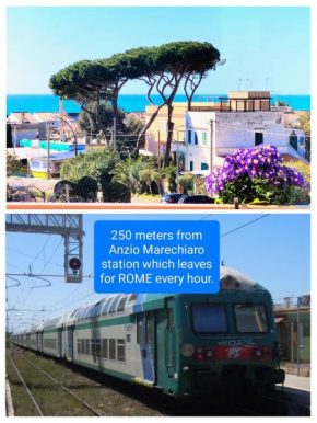 Anzio Paradise